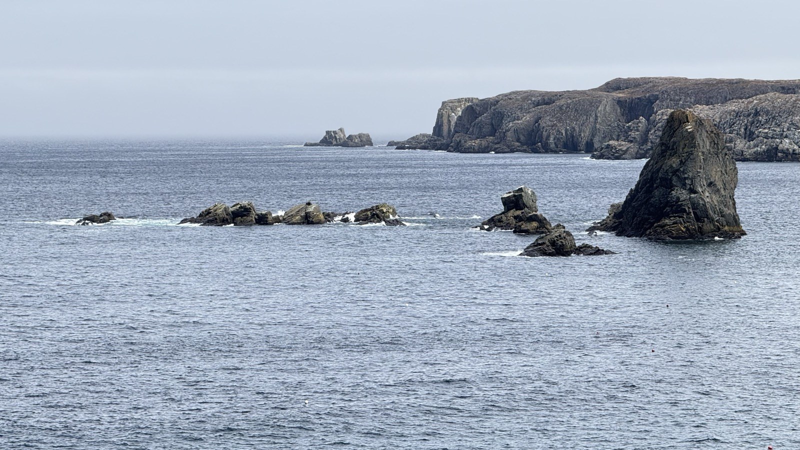 Jagged sea stacks rising out of the water off the rocky coast near Dungeon Provincial Park