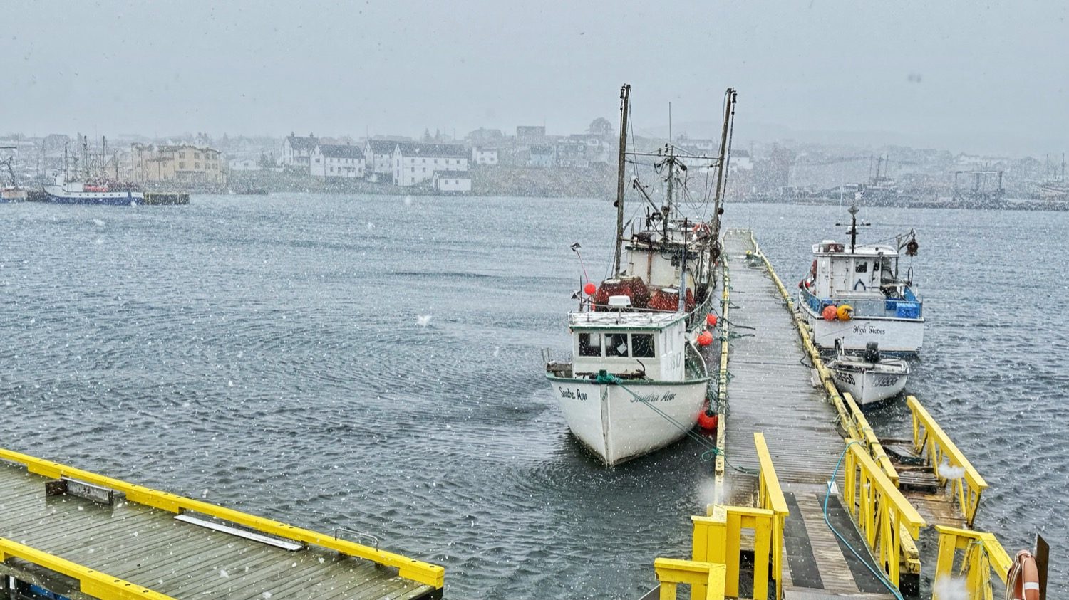 Fishing boats at a dock in Bonavista harbor, with the town visible across the water during light snowfall