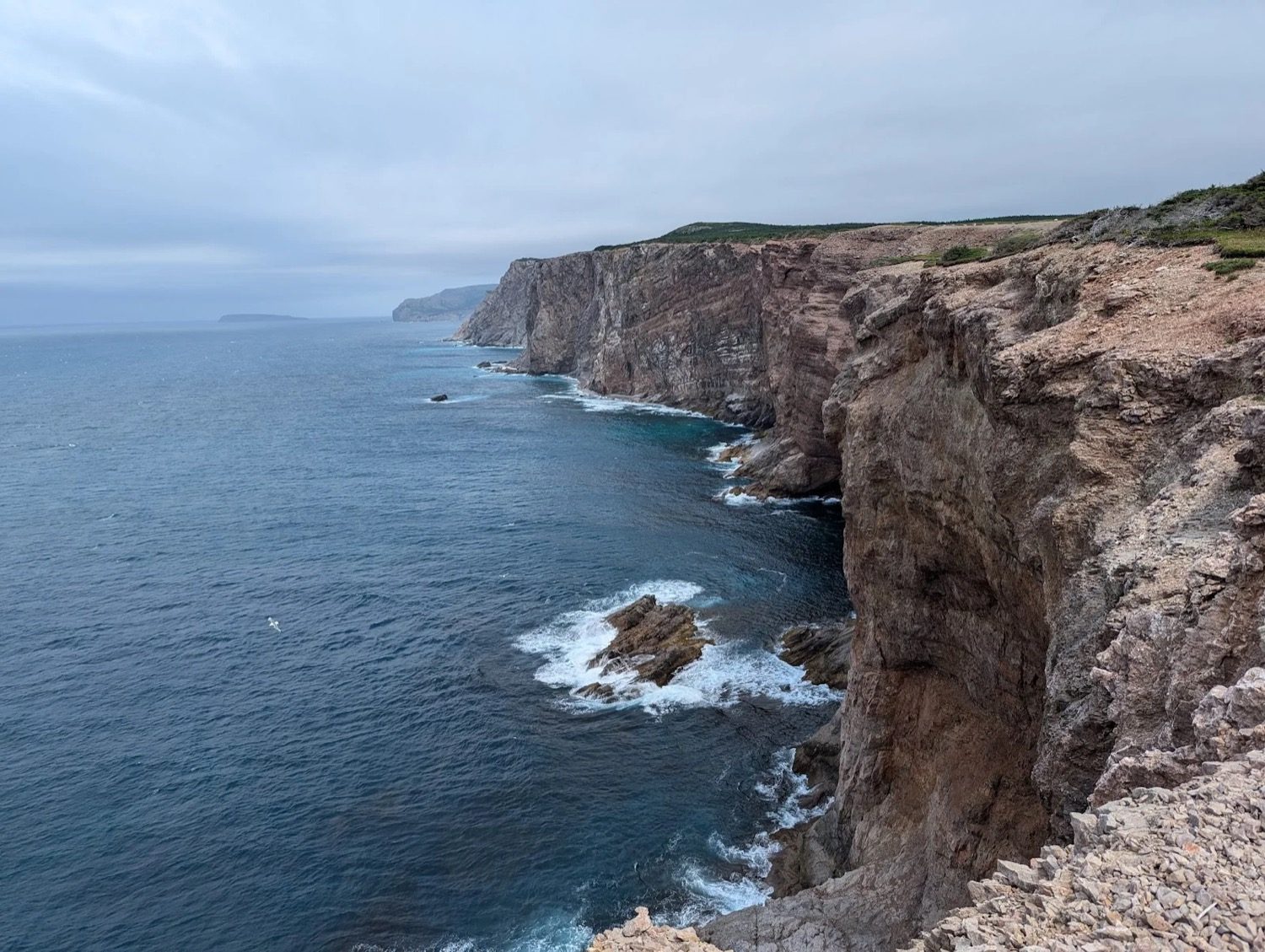 Rugged red and gray cliffs along the Cape St. George coastline, dropping straight into the blue Gulf of St. Lawrence