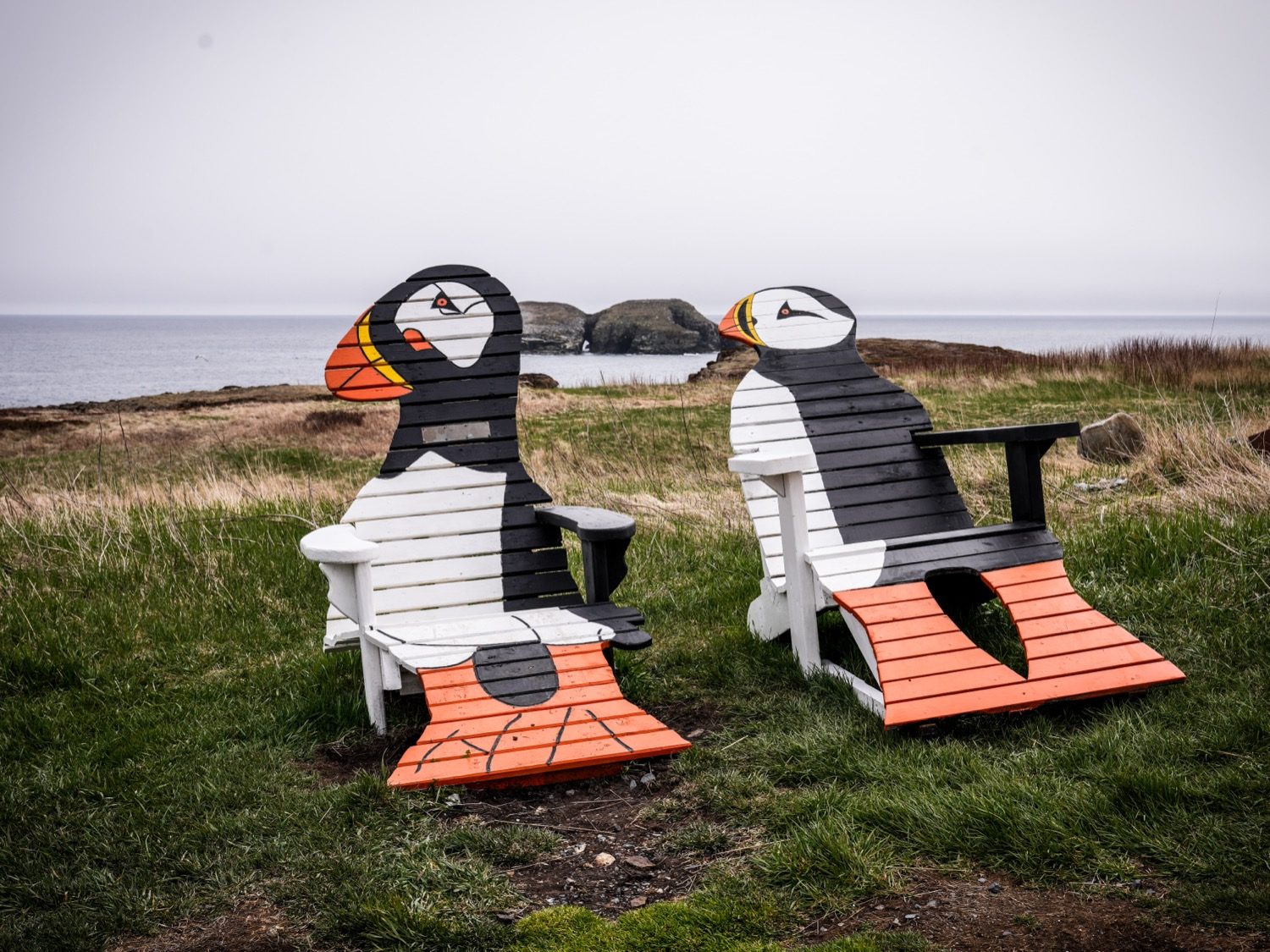 Two Adirondack chairs painted to look like puffins, facing the ocean at Elliston