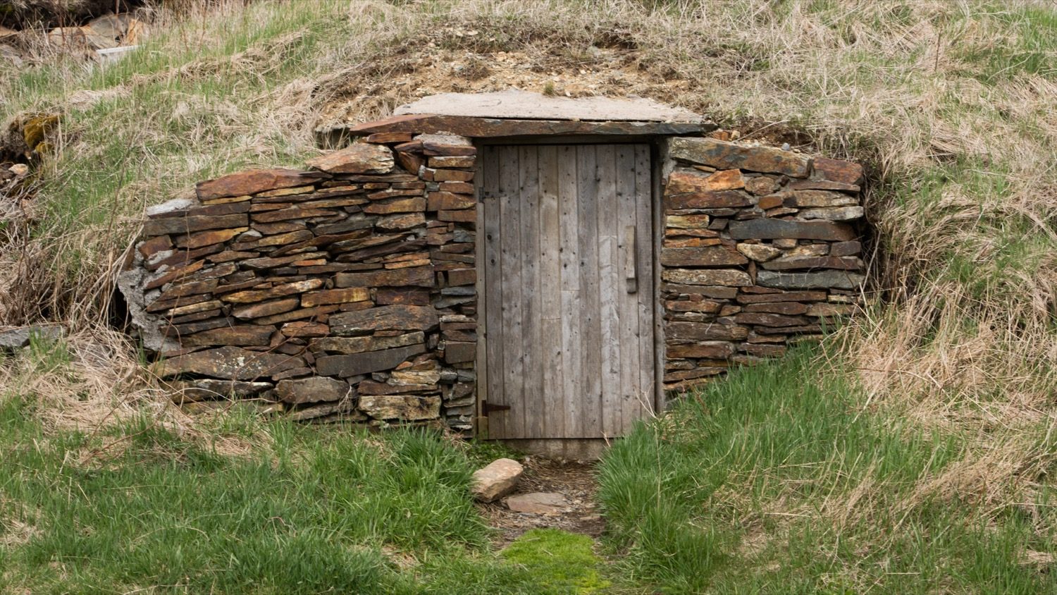 A traditional stone and sod root cellar dug into a hillside at Elliston