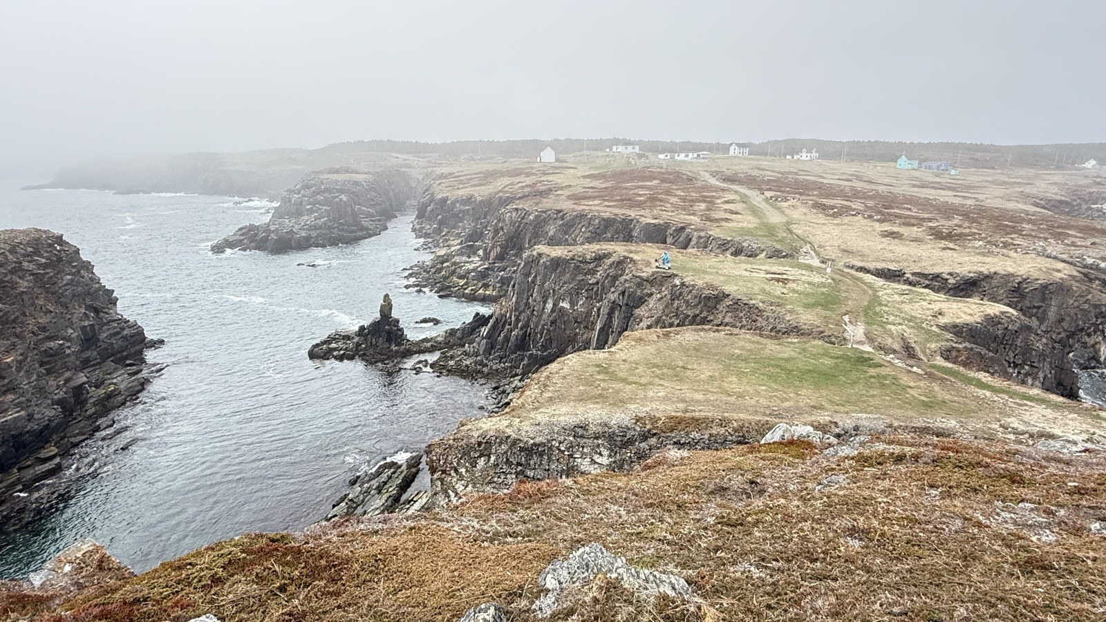 The grassy trail cutting across the clifftop toward the puffin viewing point at Elliston, with a person visible in the distance