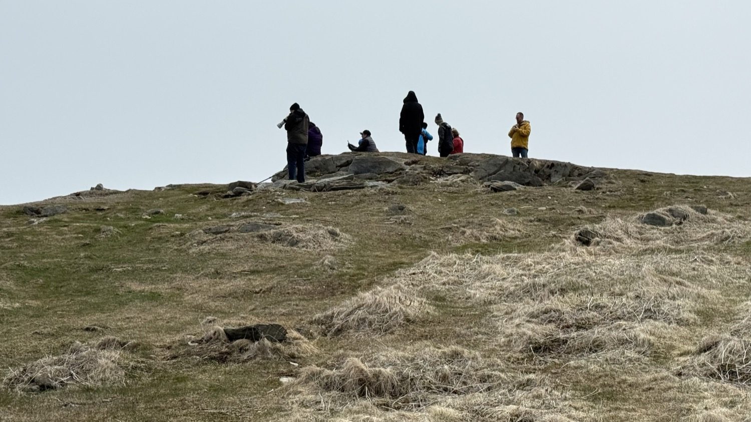 A small group of visitors standing at the rocky puffin viewing point at Elliston
