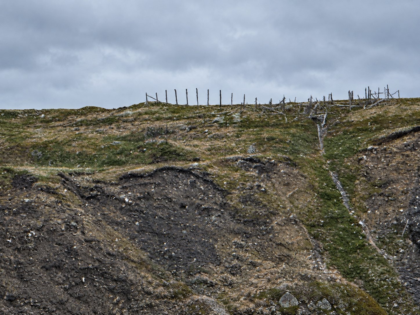 A line of weathered wooden fence posts along a ridge above a dark, rocky slope, under a gray sky