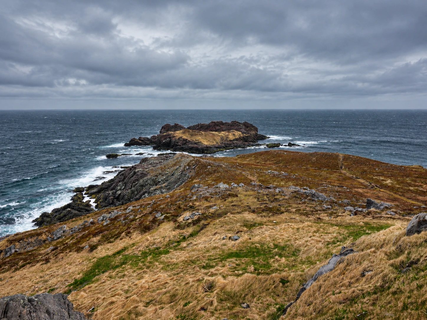 Looking east from the grassy headland to a rocky point and small island at the end of Ferryland Head, with waves breaking under a gray sky