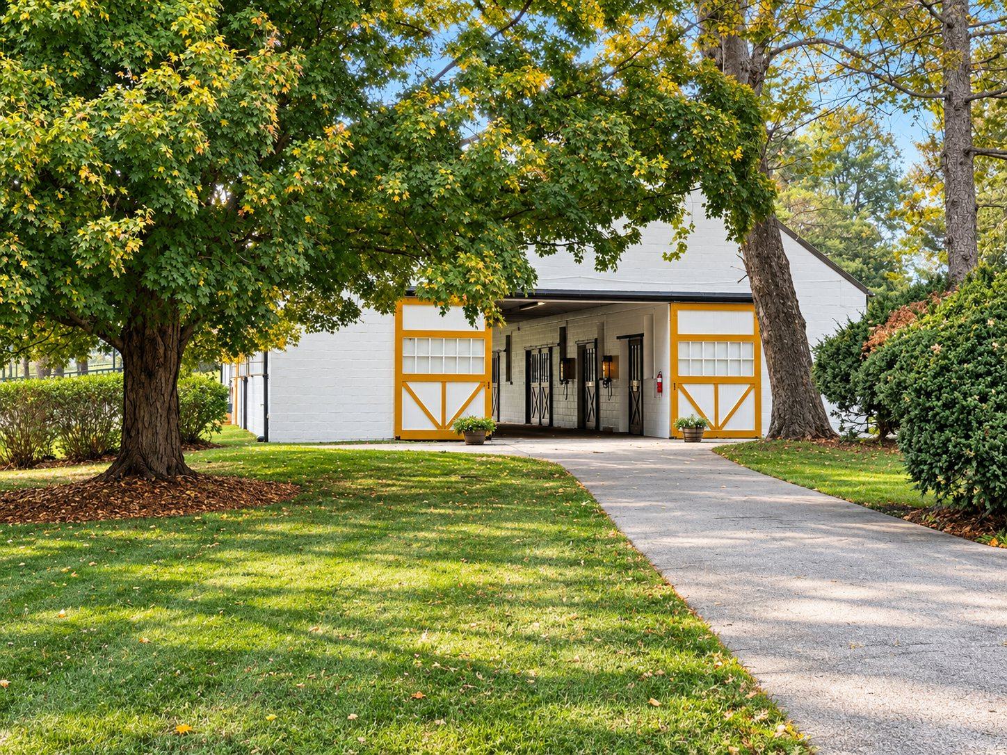 A white stable barn with yellow trim and open doors at the end of a paved path, under a large leafy tree
