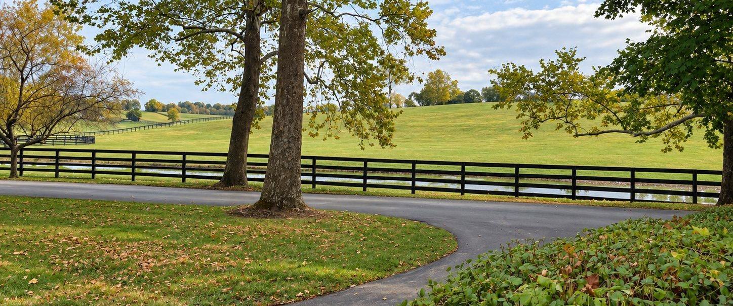 A paved farm road curving past a black board fence and green pasture, with large trees in turning leaves overhead
