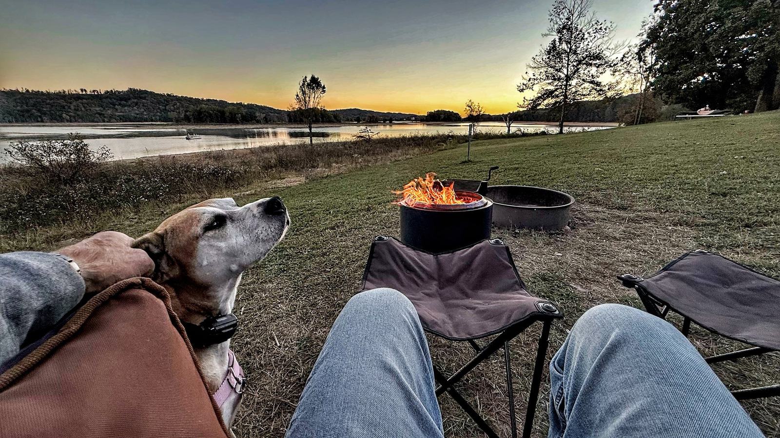 A campfire in a steel fire ring beside camp chairs, with a dog looking up and Norris Lake under a sunset glow beyond