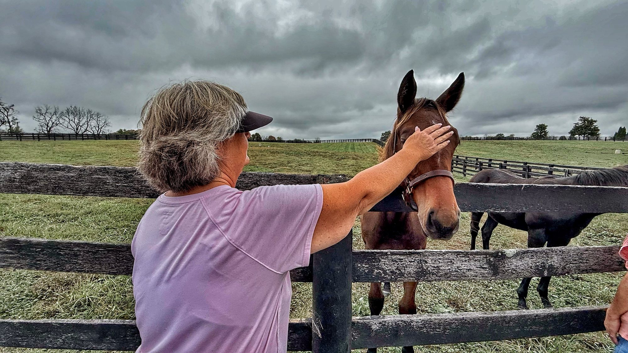 Heather in a pink shirt and visor reaching over a black board fence to pet a young brown horse in a halter, with green pasture and gray sky behind