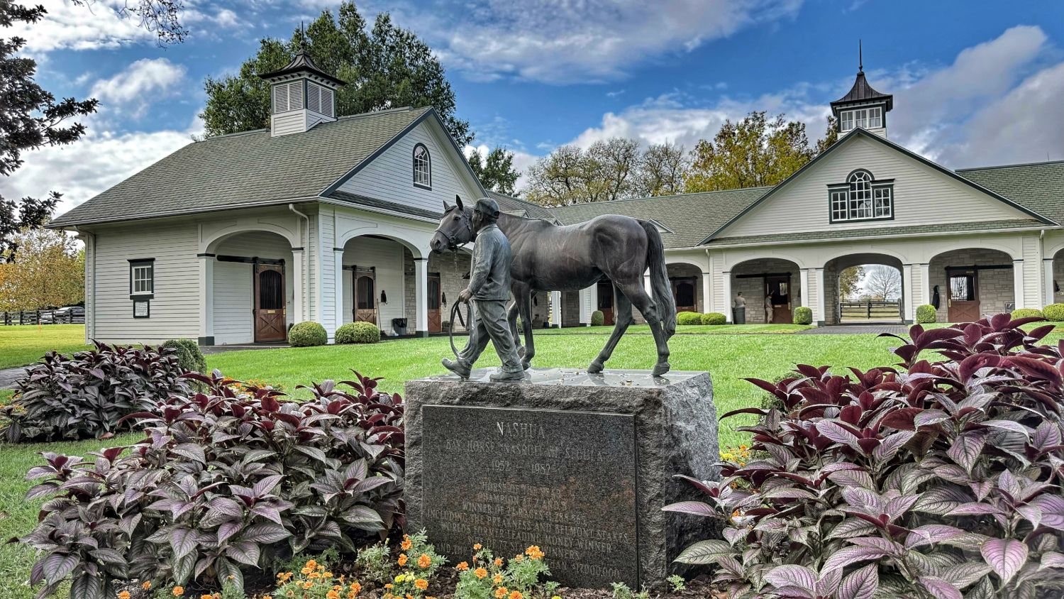 A bronze statue of a handler leading a horse on a granite base, among dark red-leaved plants, in front of a white stable with a cupola