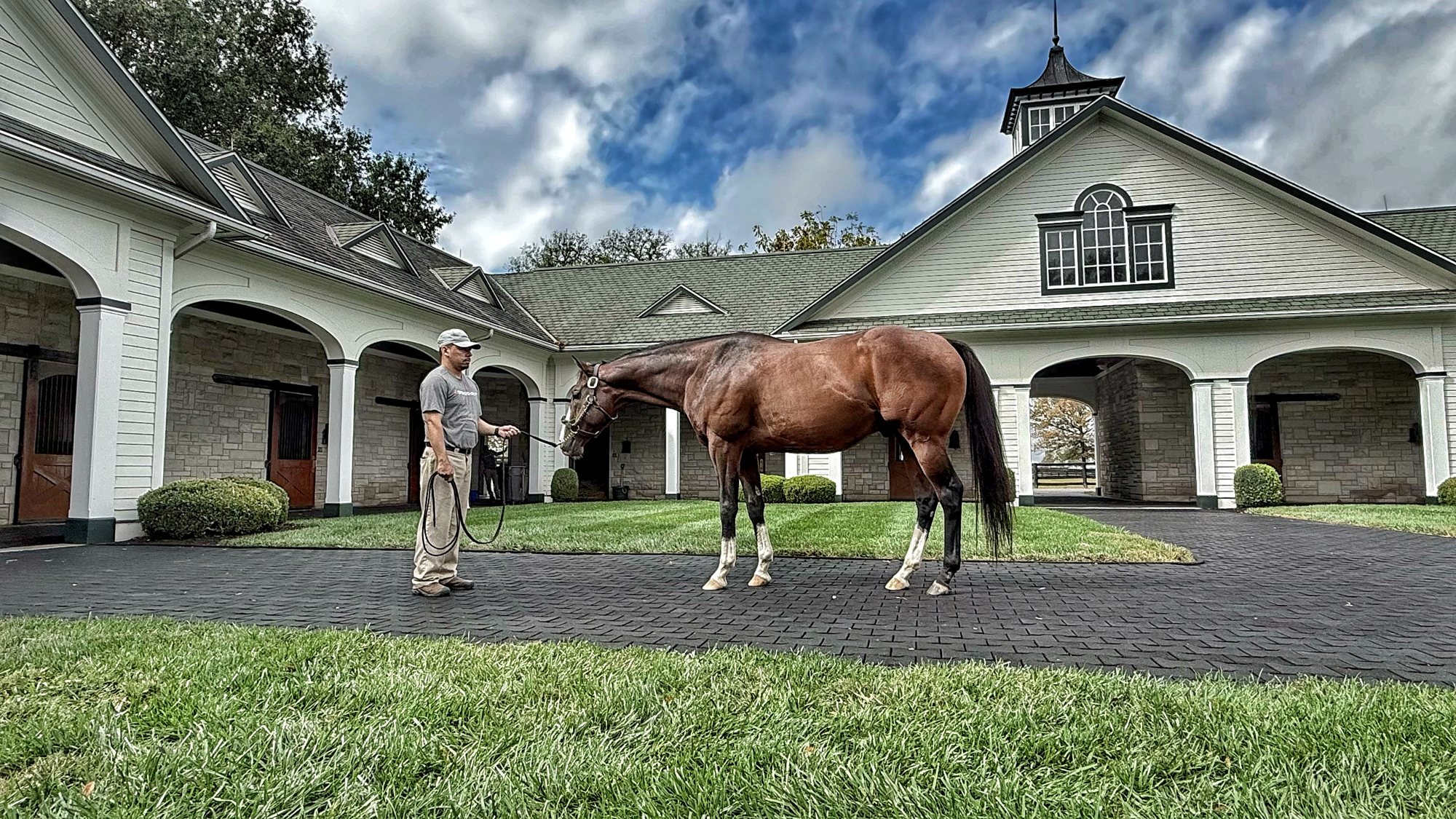 A bay stallion with white socks standing on a paved courtyard beside his handler, in front of a white stable with arched openings and a cupola