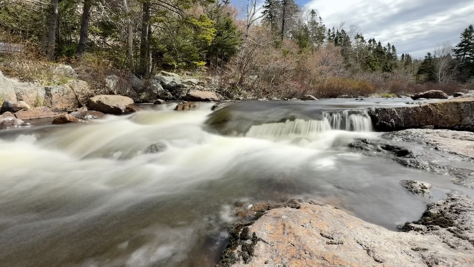 Rapids tumbling down a small step in a rocky river bed, with bare shrubs and evergreens along the banks
