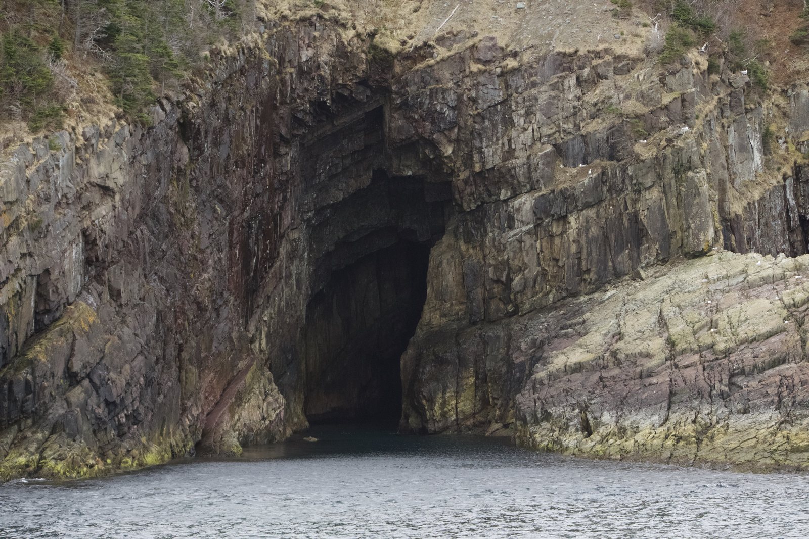 A large dark sea cave opening in a tall layered cliff just above the water, with moss and grass on the rock