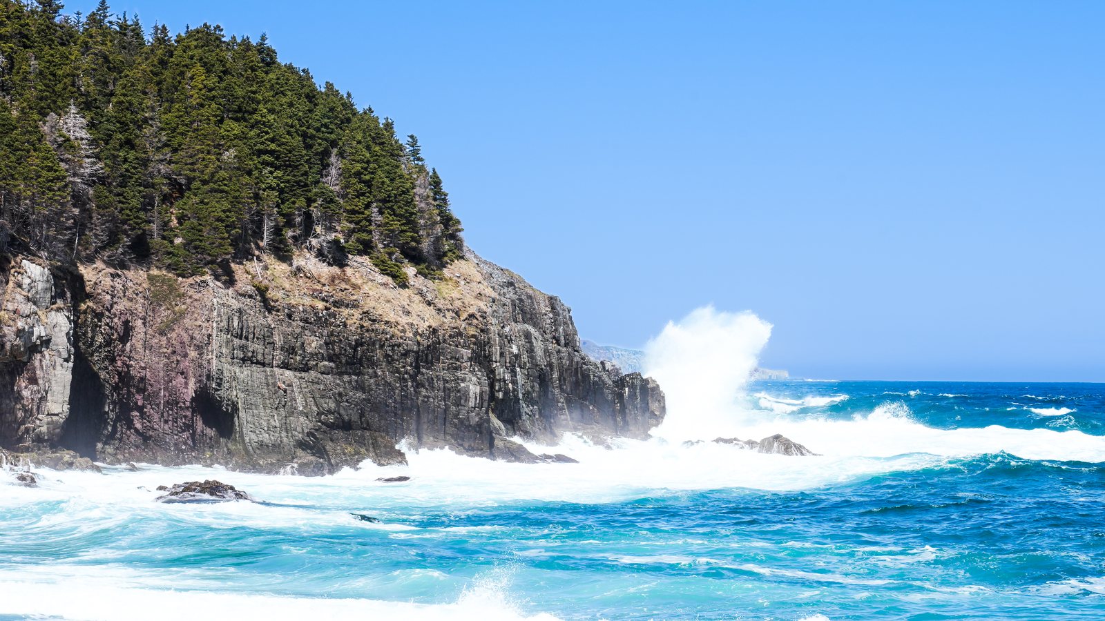 A big wave breaking against a tree-topped headland from a pebble beach, with spray rising against a clear blue sky