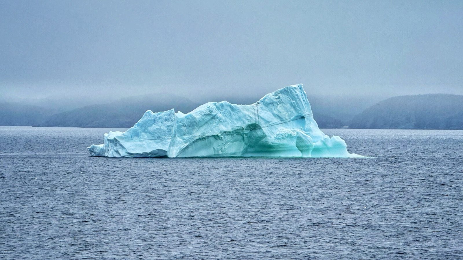 A large pale-blue iceberg floating in gray water off Twillingate, with fog-covered hills behind it