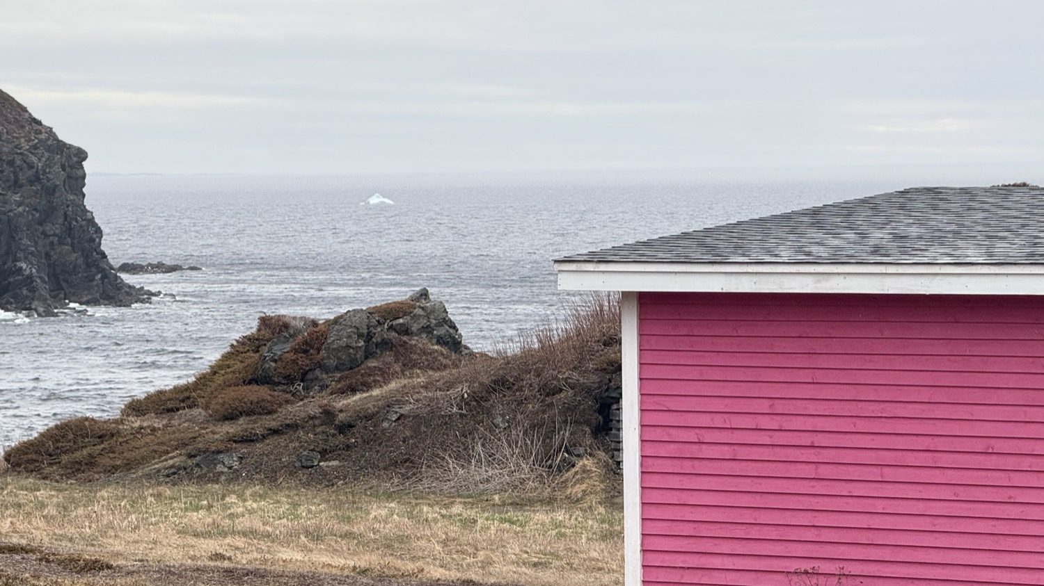 A bright pink shed in the foreground, with a small white iceberg on the horizon beyond a rocky point