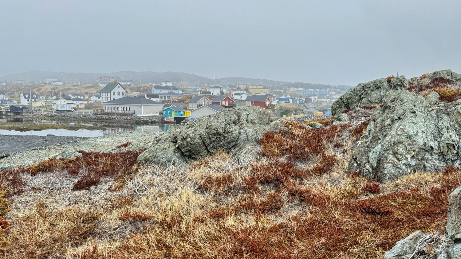 Rust-colored ground cover and gray rocks in the foreground, with the houses of Back Harbour beyond